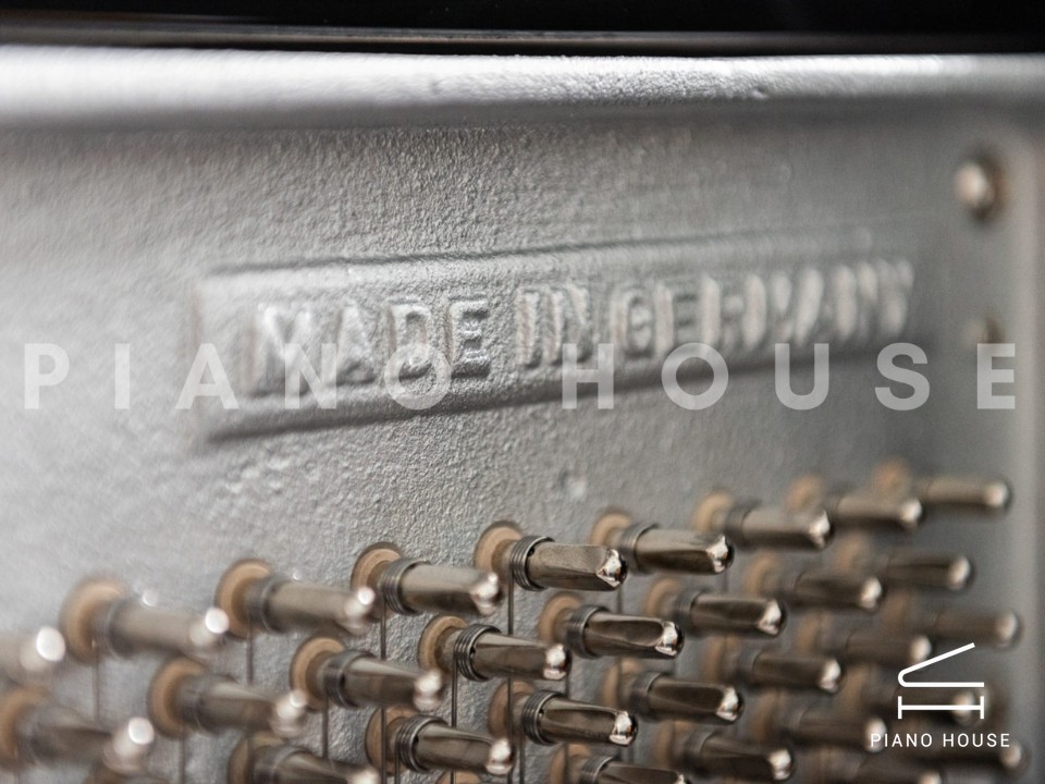 navy ostrich watch bands (4)