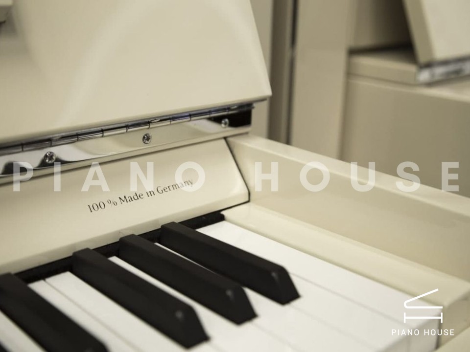 navy ostrich watch bands (4)