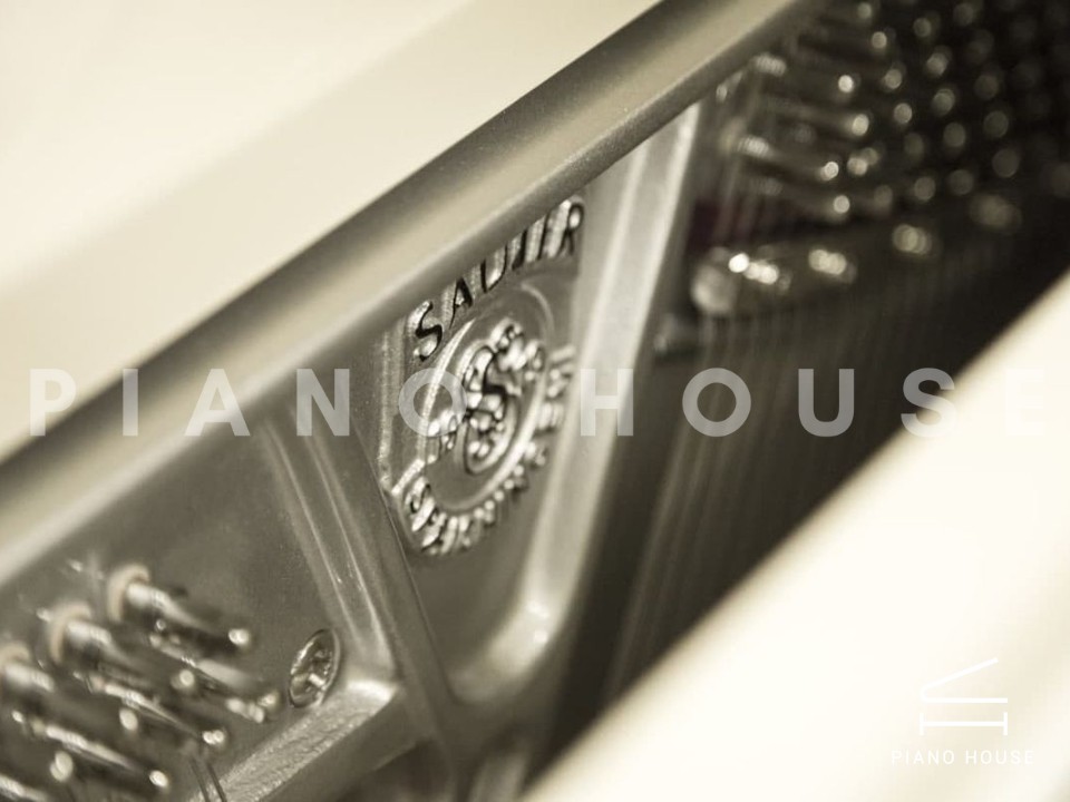 navy ostrich watch bands (4)