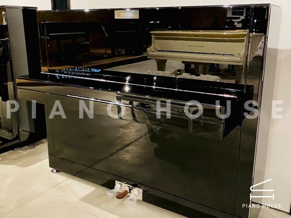 navy ostrich watch bands (4)