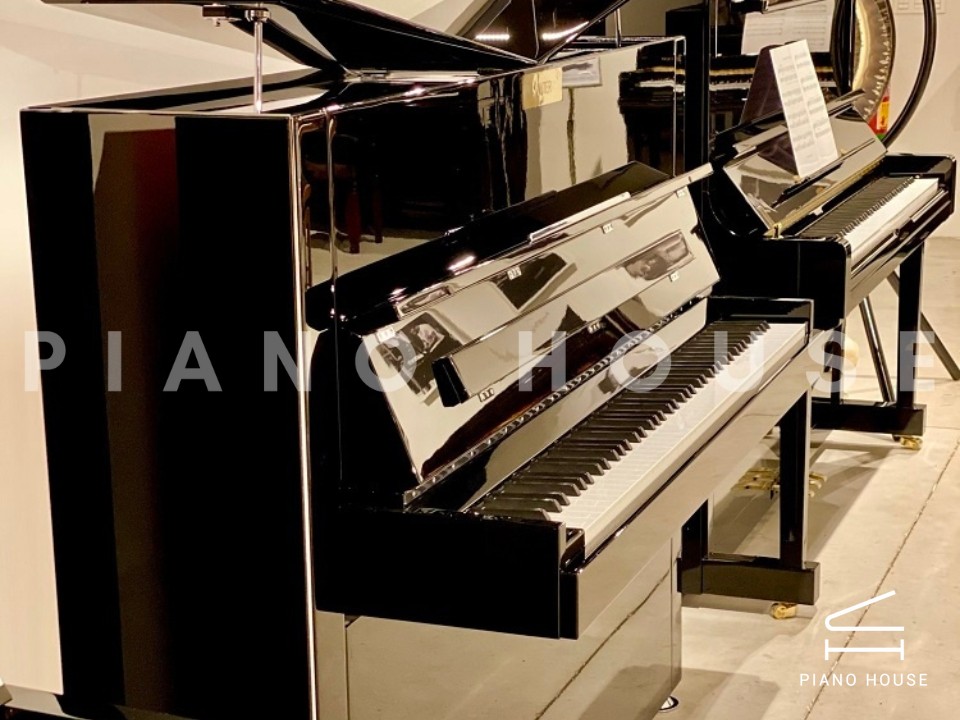 navy ostrich watch bands (4)