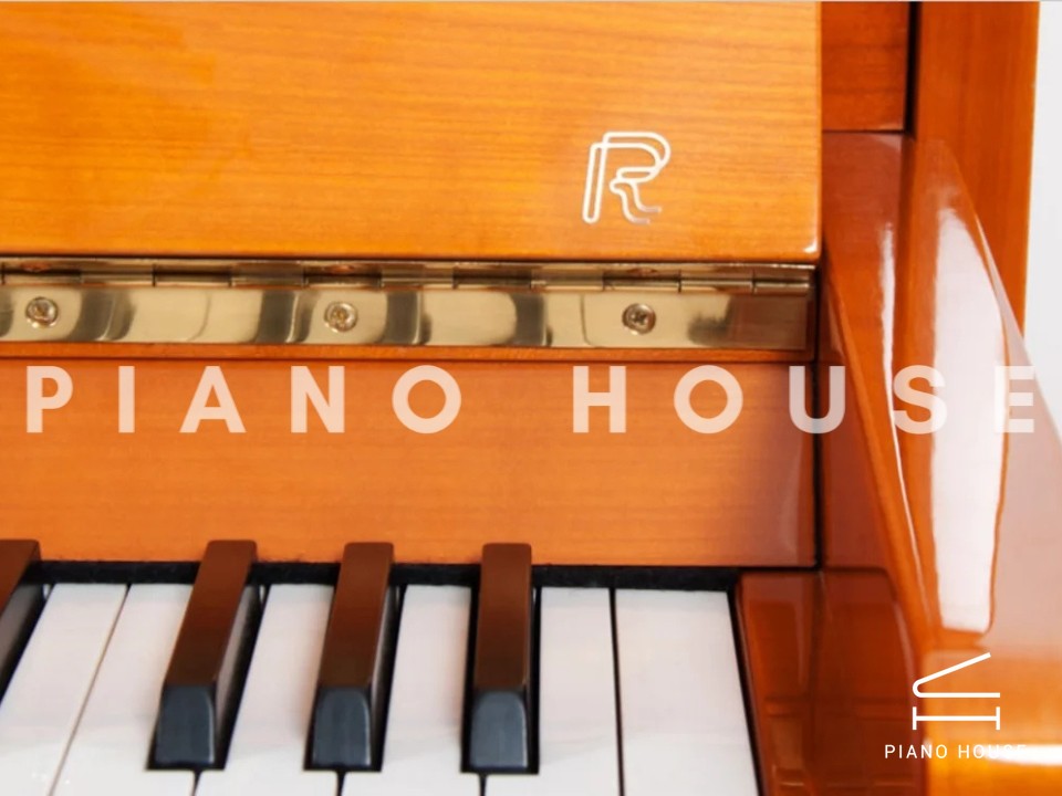 navy ostrich watch bands (4)