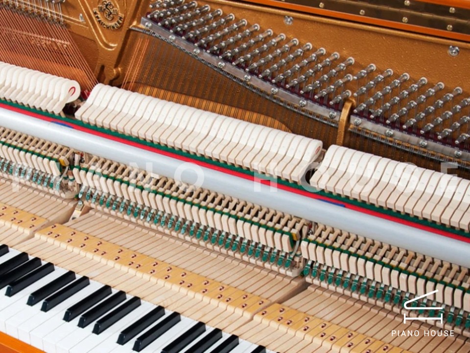 navy ostrich watch bands (4)