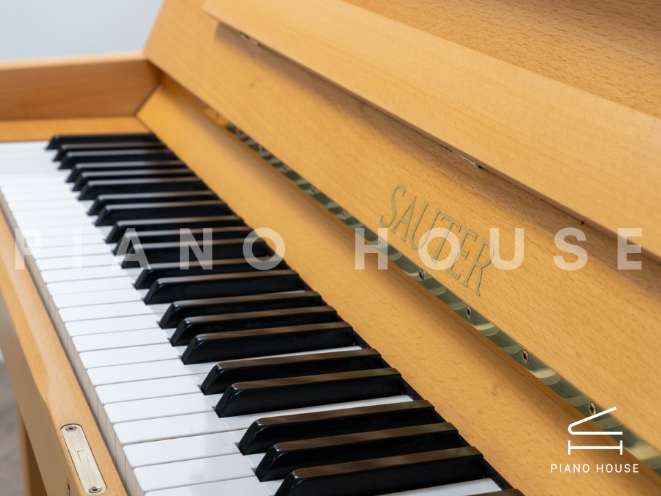 navy ostrich watch bands (4)