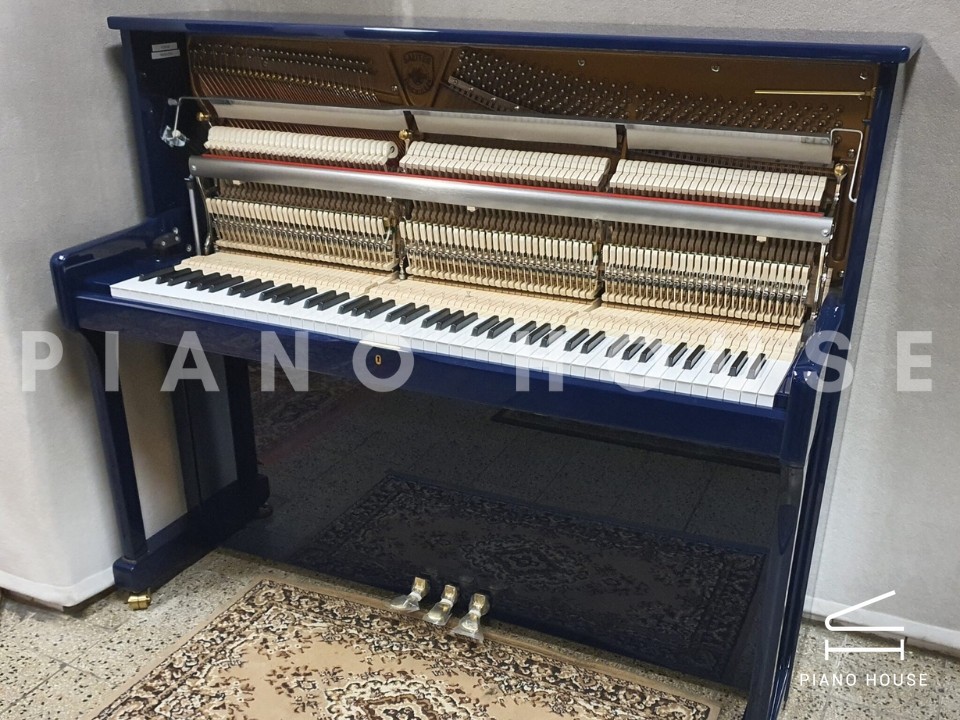 navy ostrich watch bands (4)