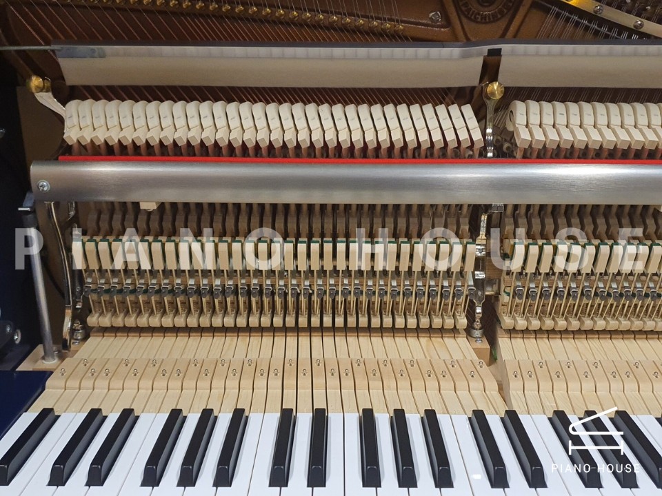 navy ostrich watch bands (4)