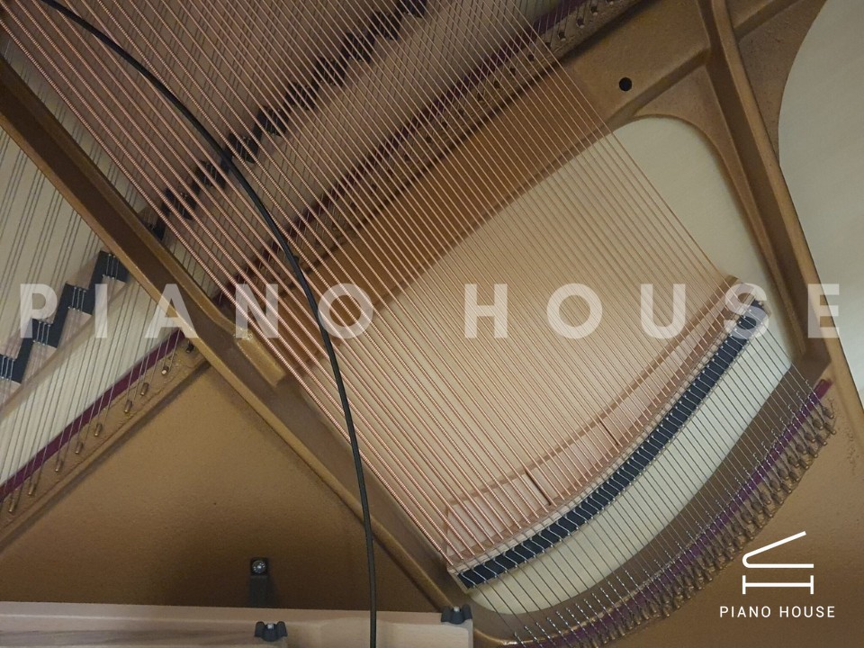 navy ostrich watch bands (4)