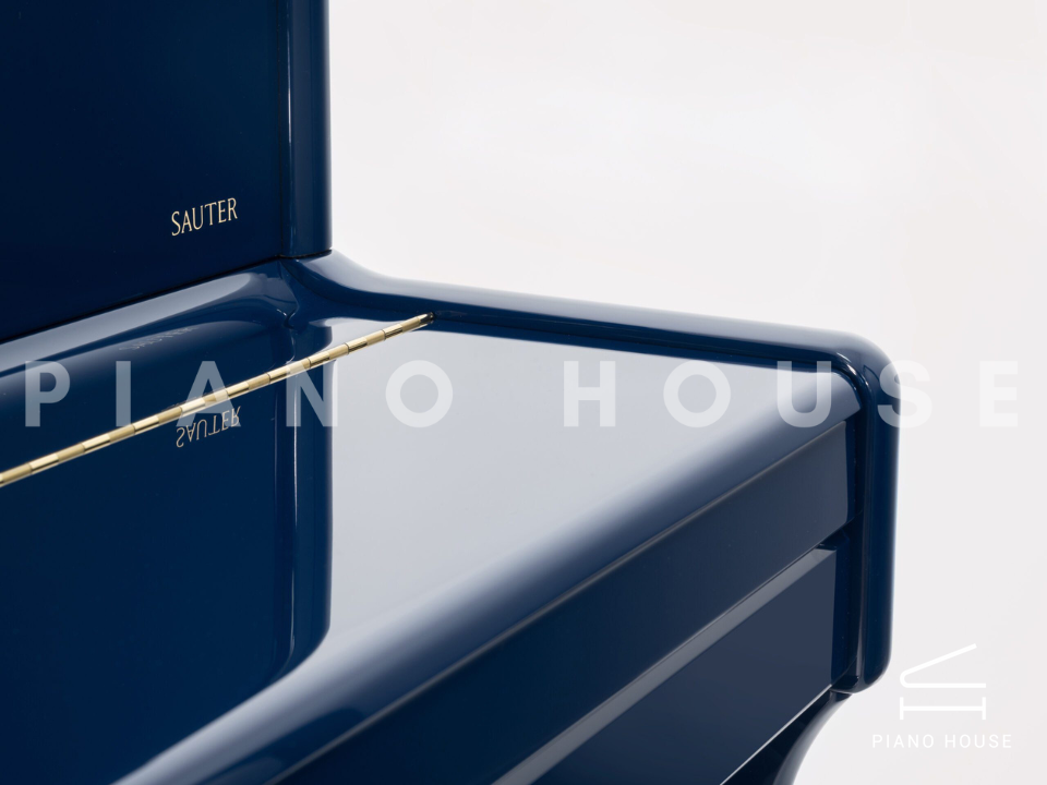 navy ostrich watch bands (4)