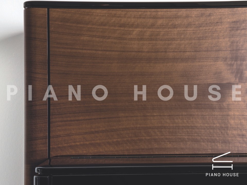 navy ostrich watch bands (4)