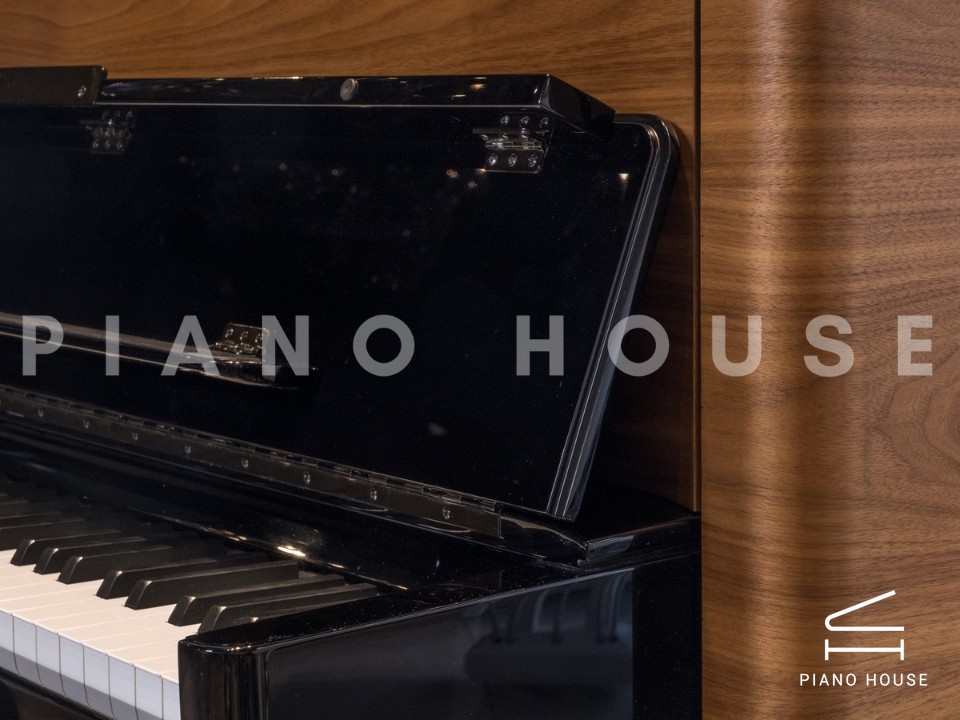 navy ostrich watch bands (4)