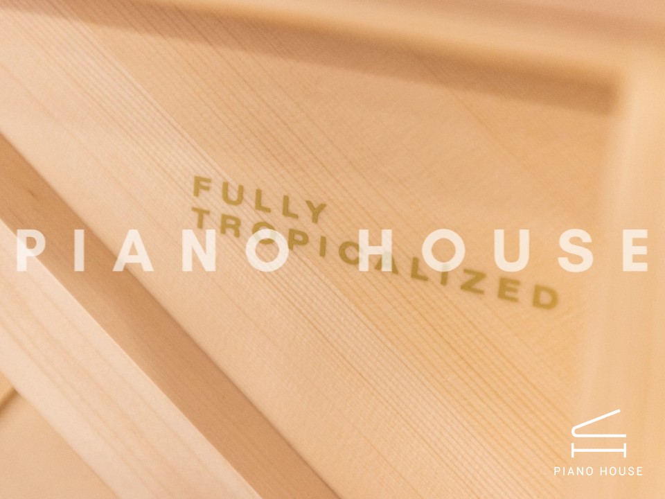 navy ostrich watch bands (4)