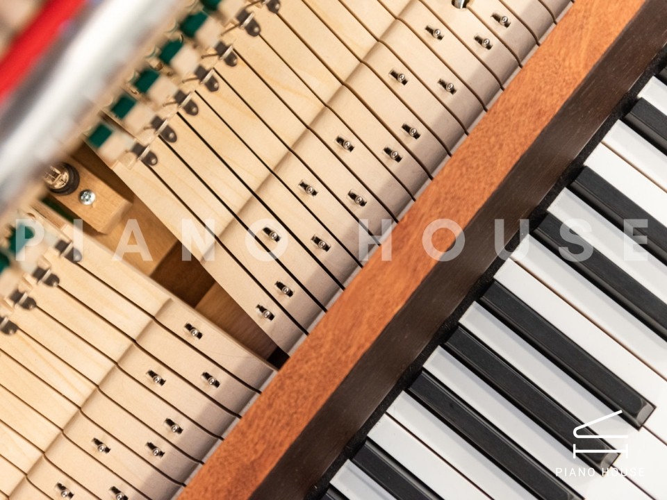 navy ostrich watch bands (4)