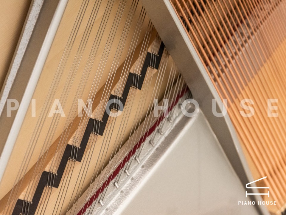 navy ostrich watch bands (4)