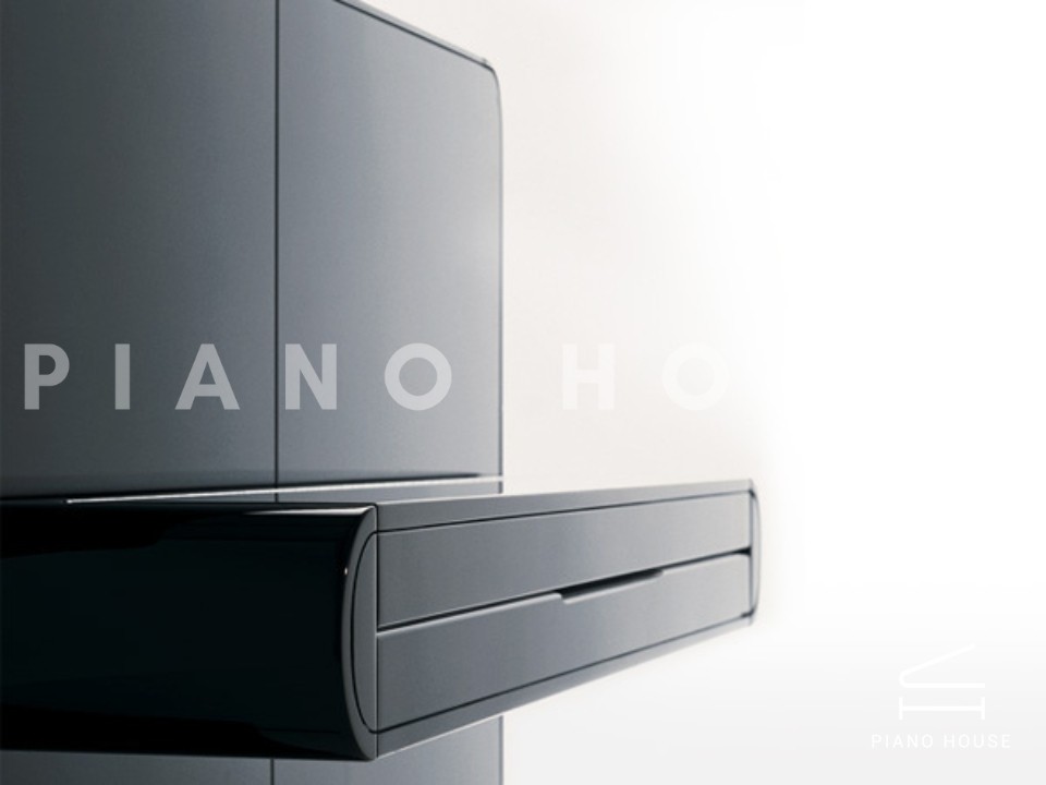 navy ostrich watch bands (4)