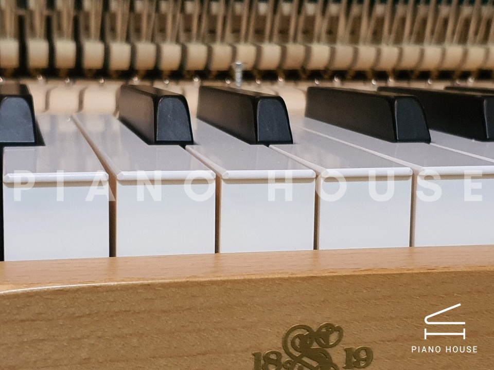 navy ostrich watch bands (4)