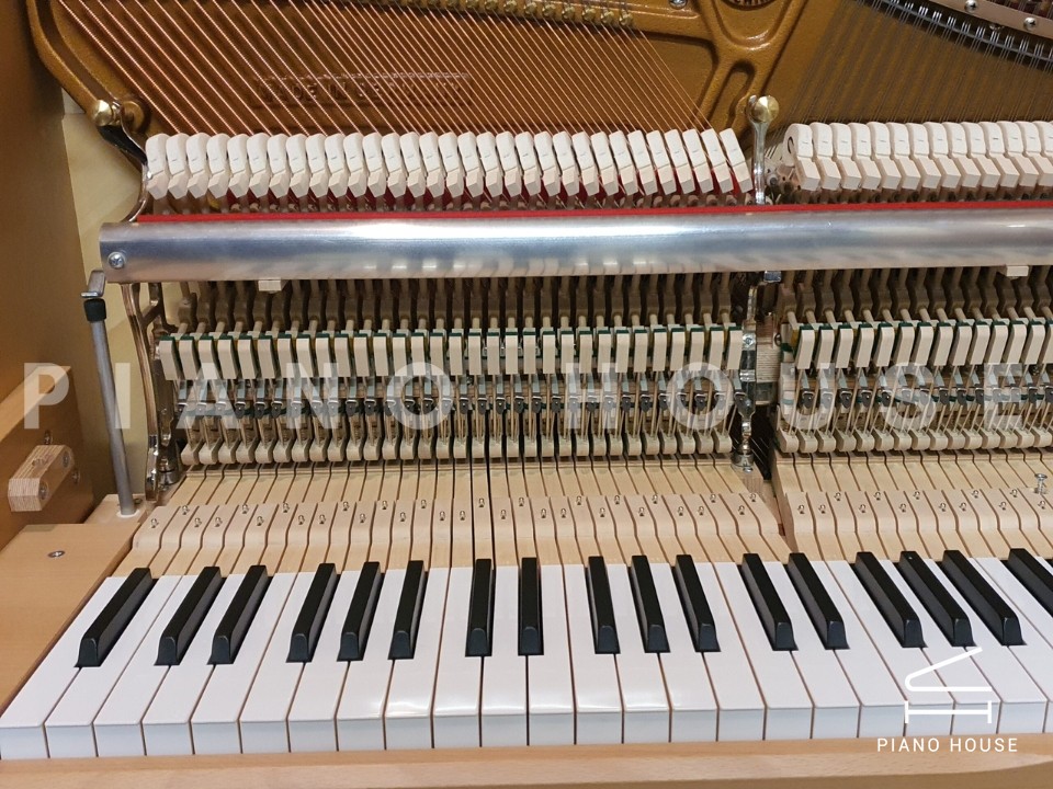 navy ostrich watch bands (4)