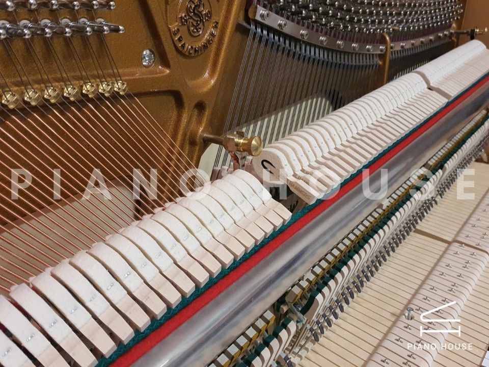 navy ostrich watch bands (4)