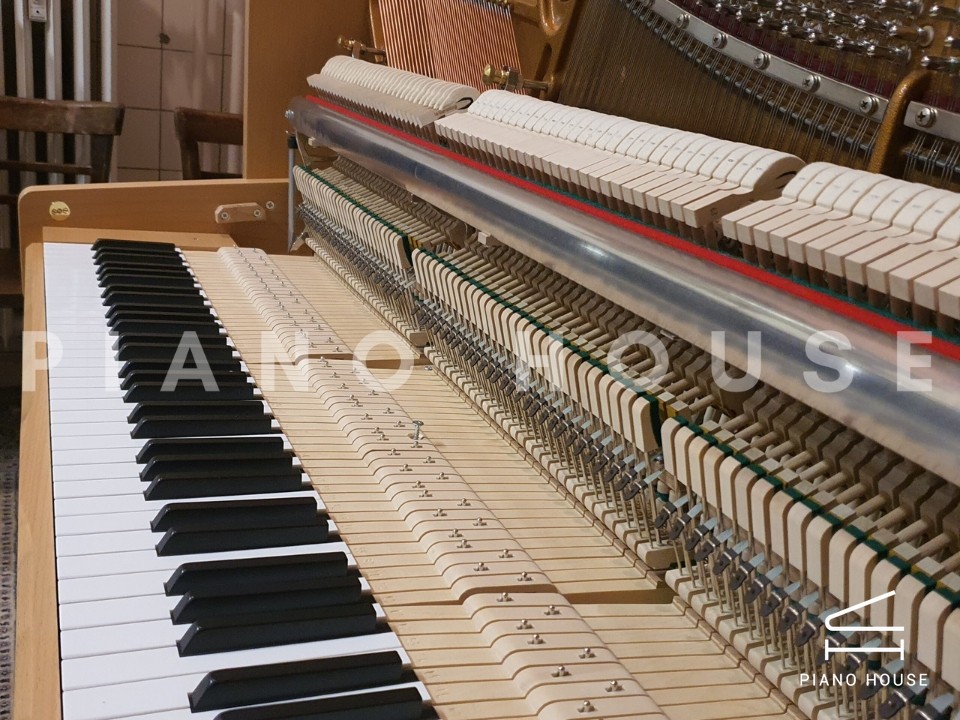 navy ostrich watch bands (4)