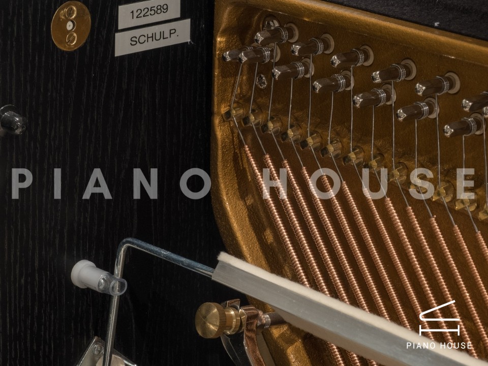 navy ostrich watch bands (4)