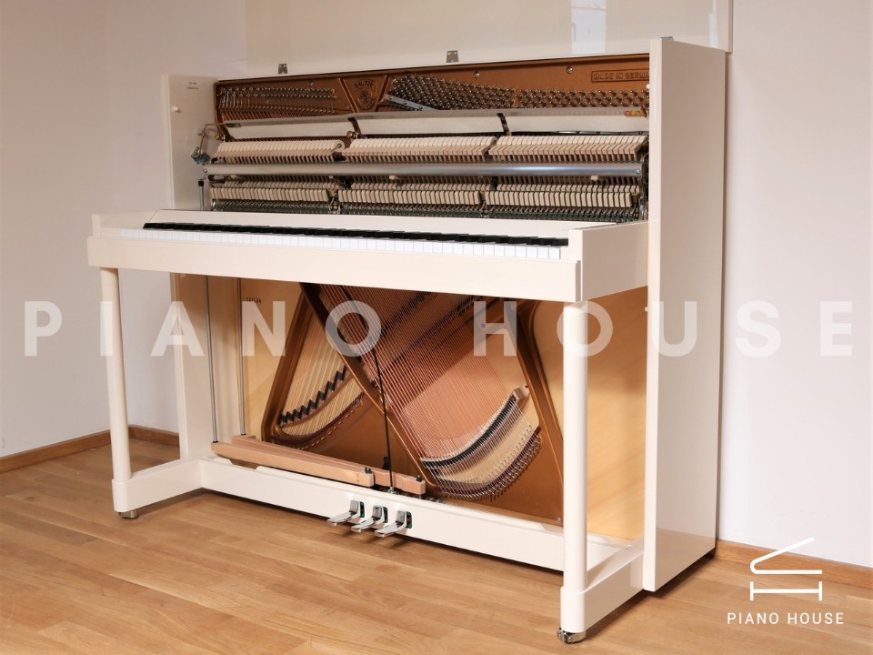 navy ostrich watch bands (4)