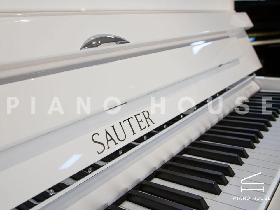 navy ostrich watch bands (4)