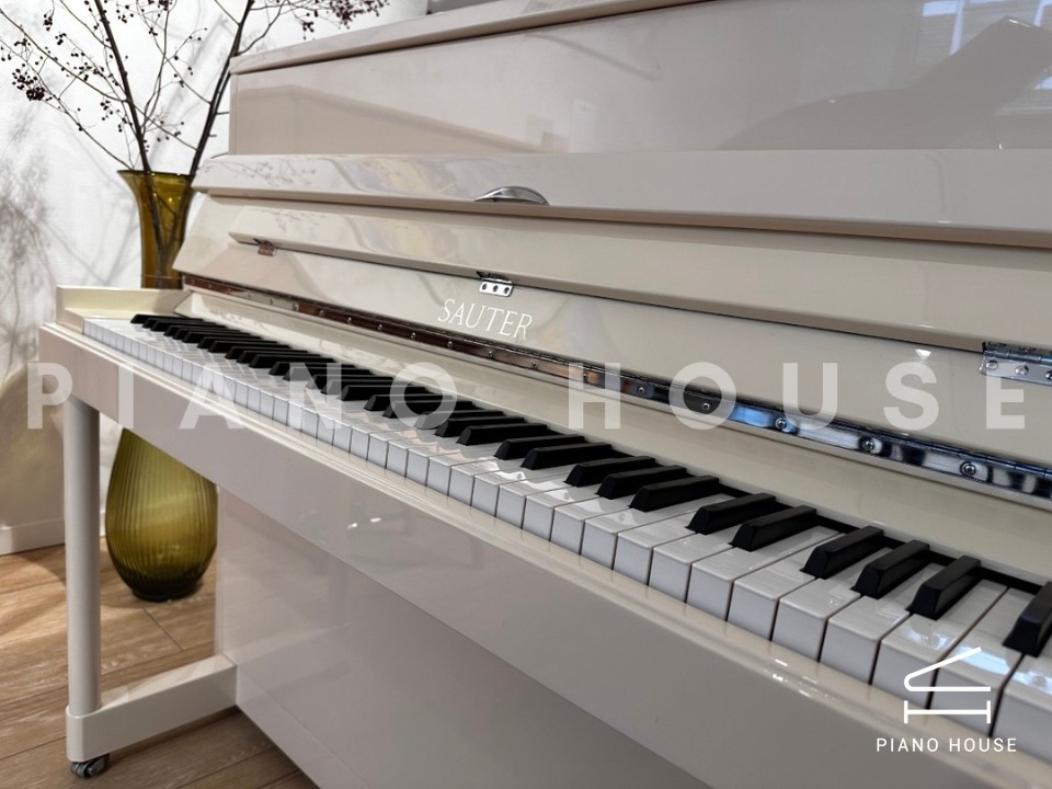 navy ostrich watch bands (4)