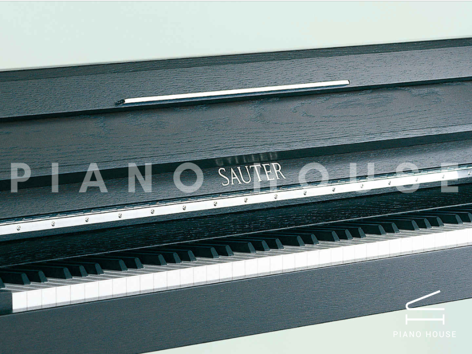 navy ostrich watch bands (4)