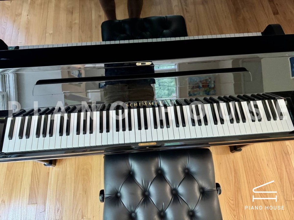 navy ostrich watch bands (4)