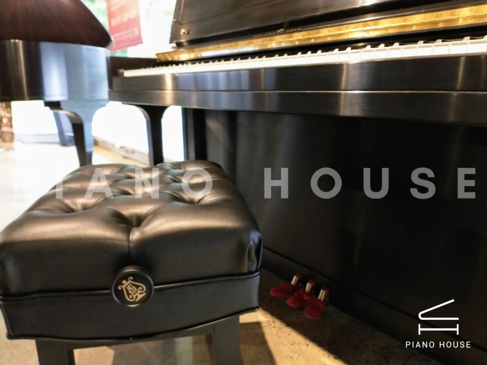 navy ostrich watch bands (4)