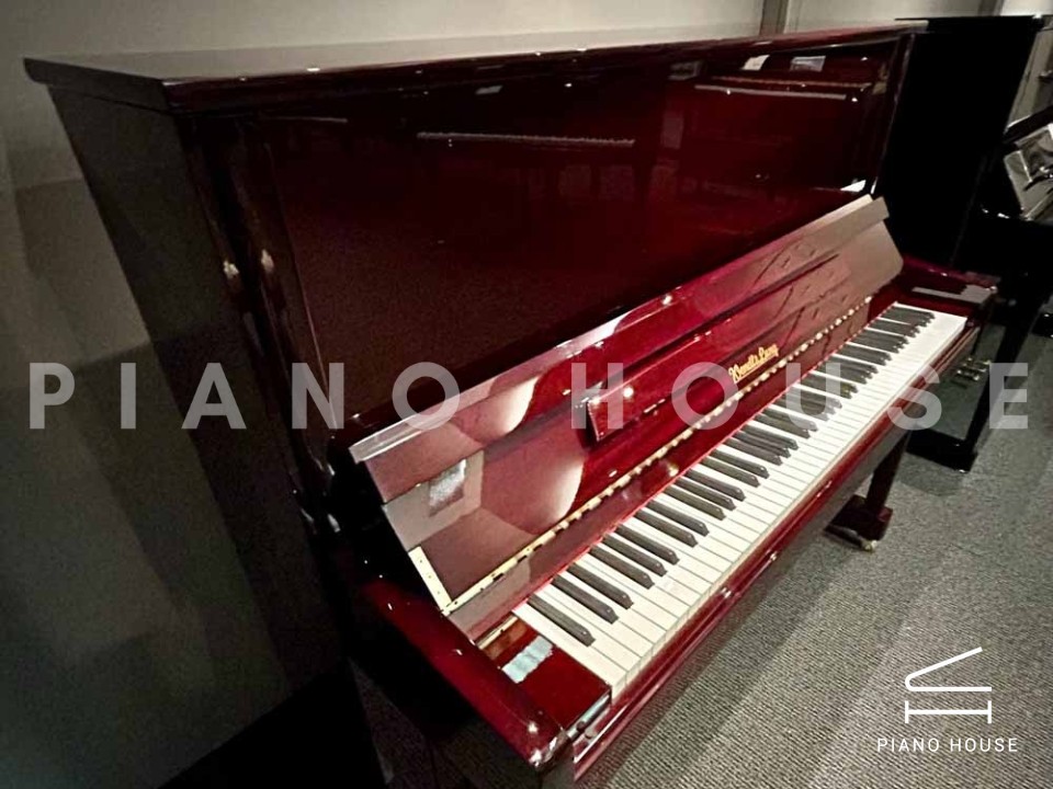 navy ostrich watch bands (4)