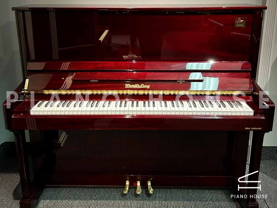 navy ostrich watch bands (4)