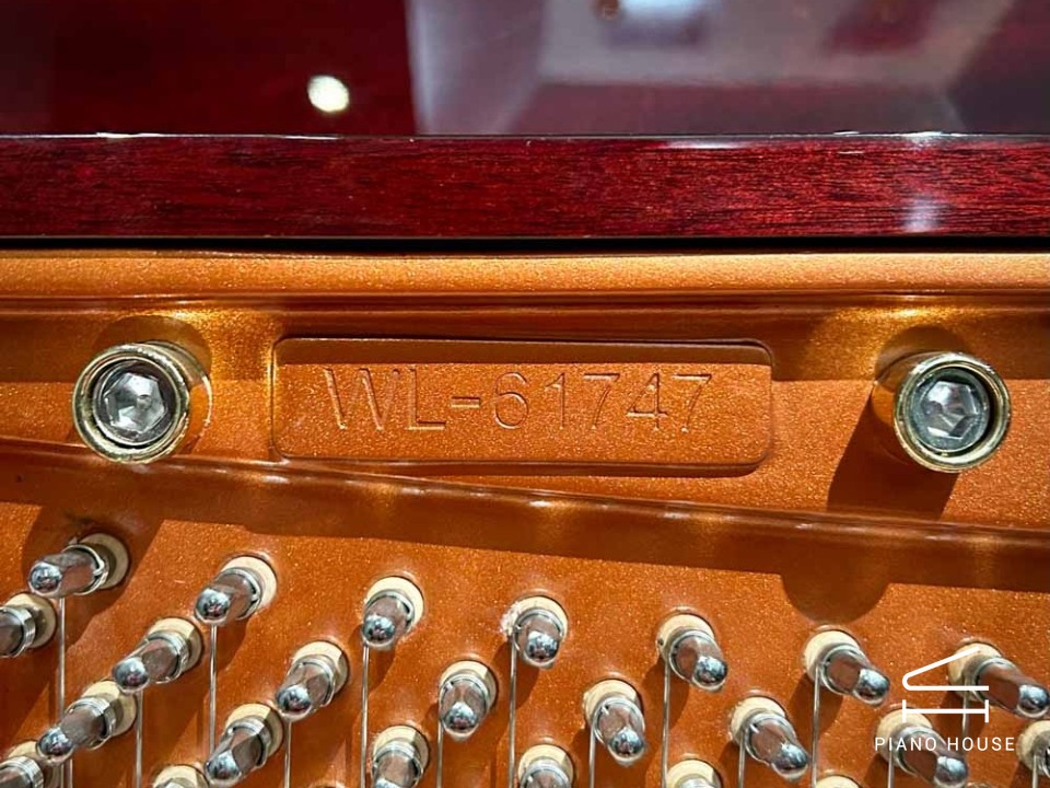 navy ostrich watch bands (4)