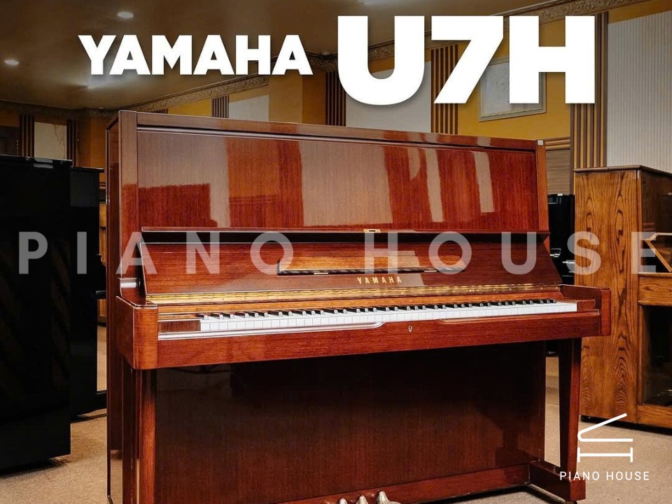 navy ostrich watch bands (4)