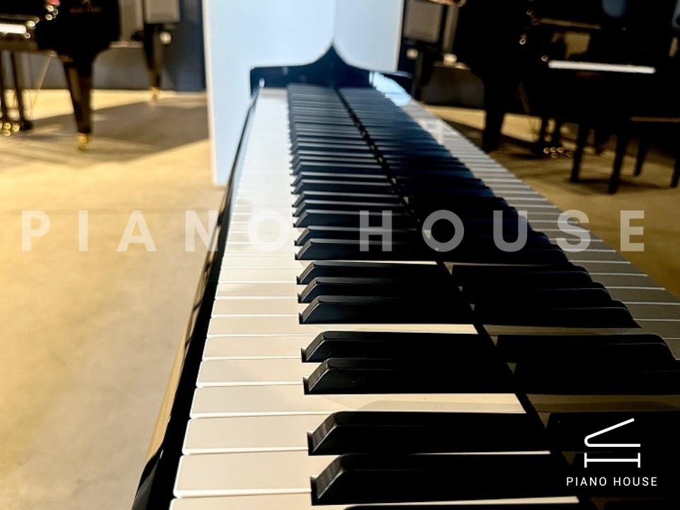 navy ostrich watch bands (4)