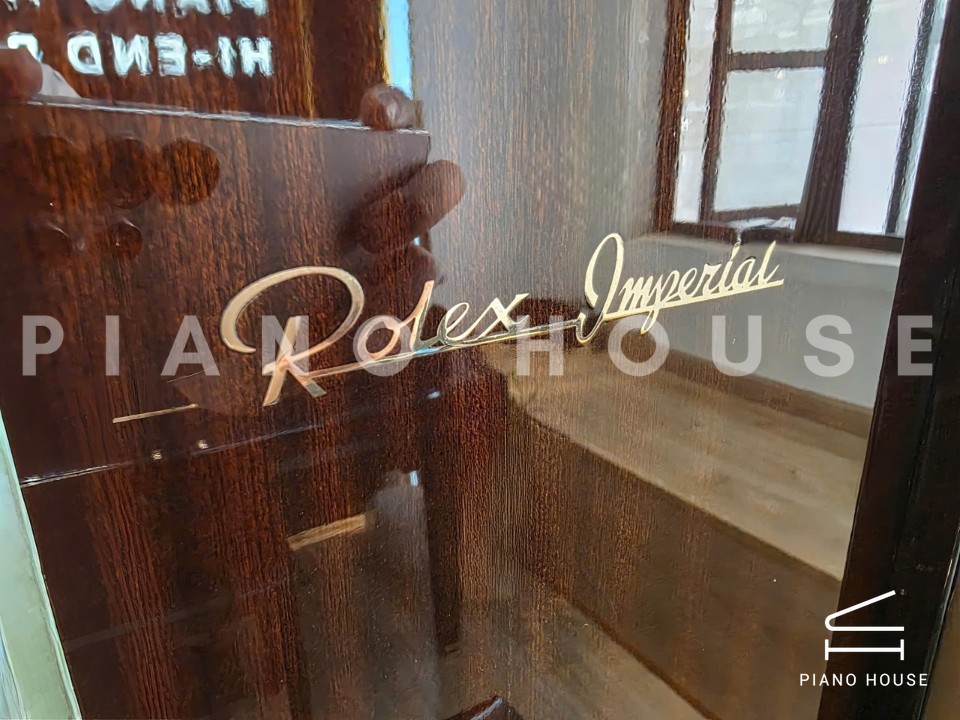 navy ostrich watch bands (4)