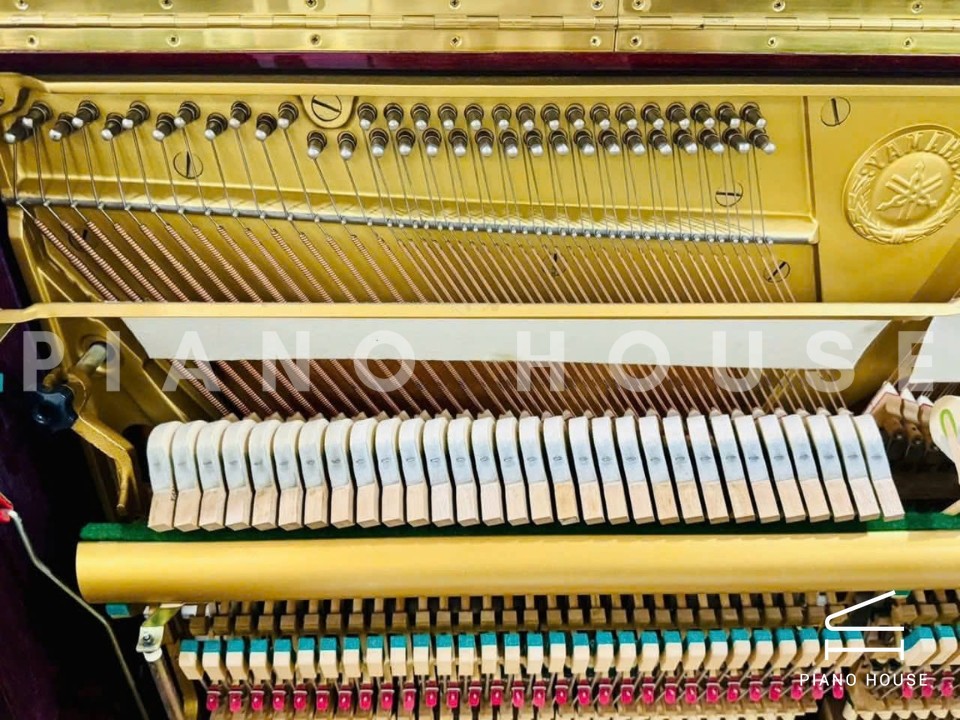 navy ostrich watch bands (4)