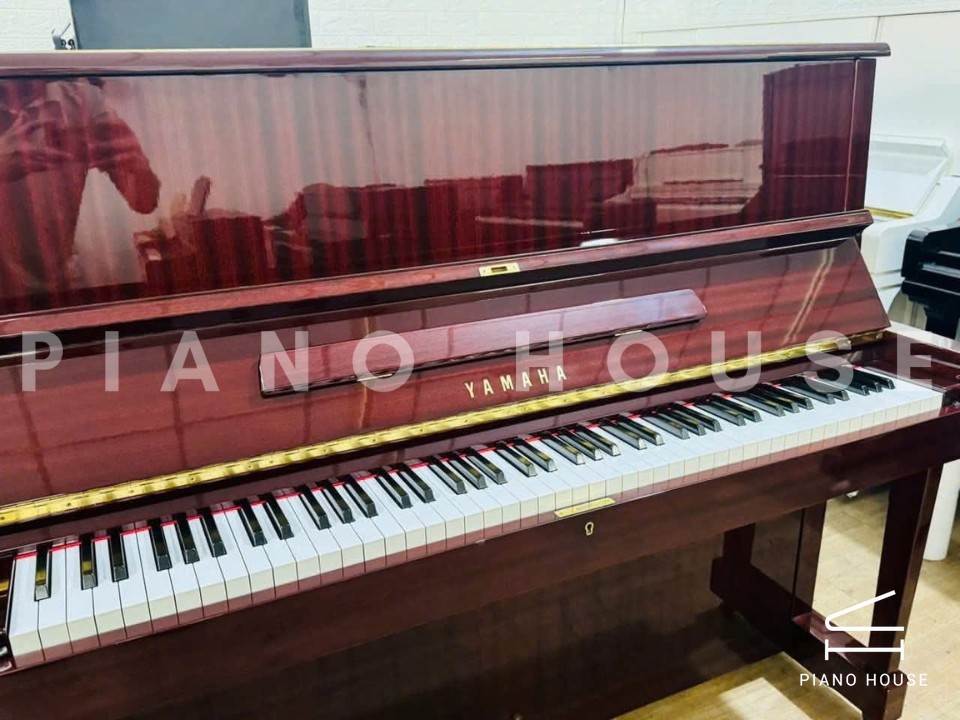 navy ostrich watch bands (4)