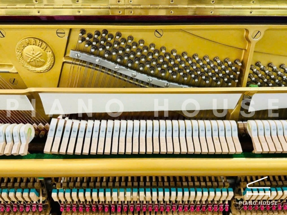 navy ostrich watch bands (4)