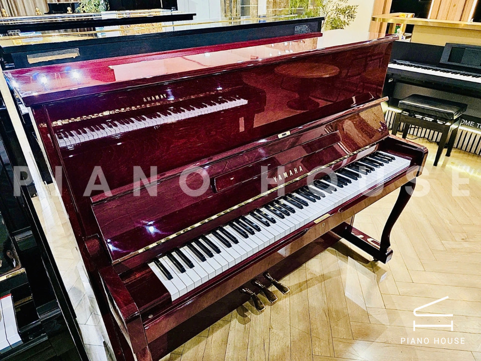 navy ostrich watch bands (4)