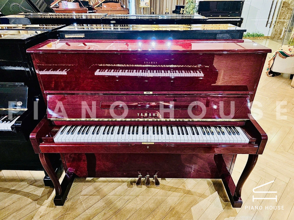 navy ostrich watch bands (4)