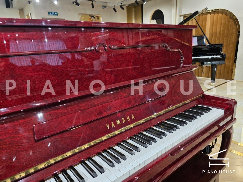 navy ostrich watch bands (4)