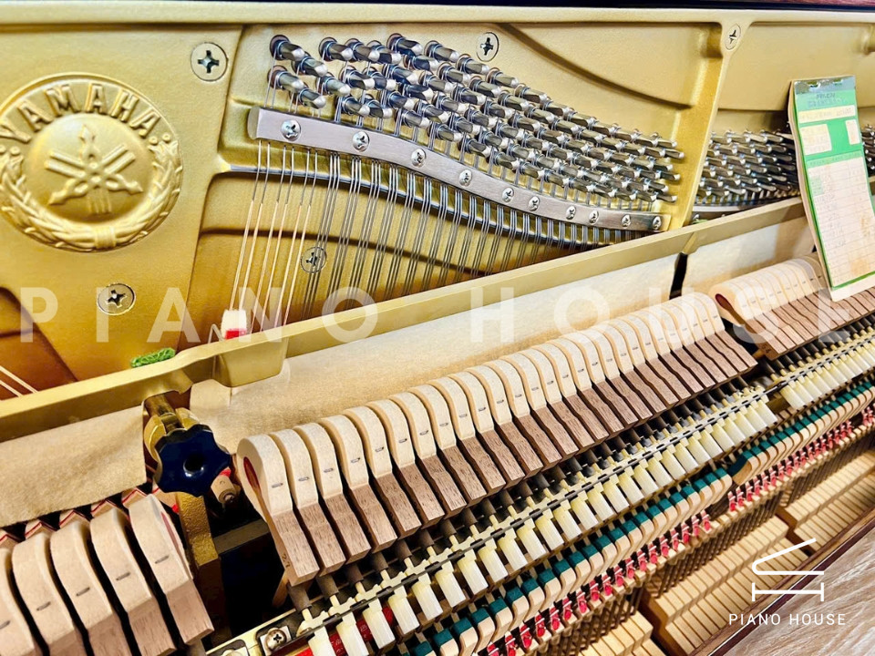 navy ostrich watch bands (4)