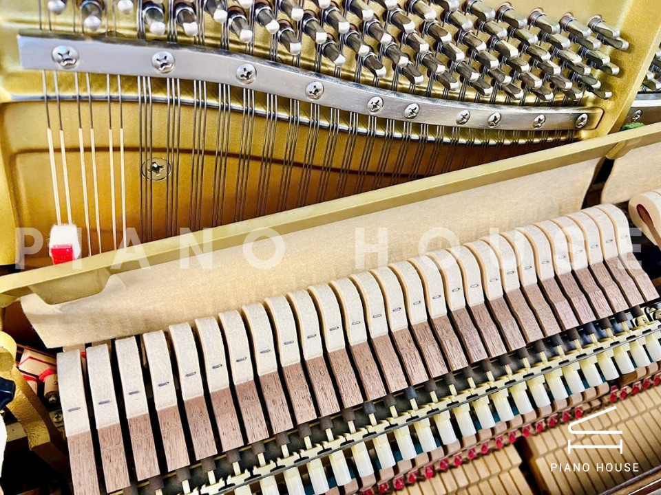 navy ostrich watch bands (4)