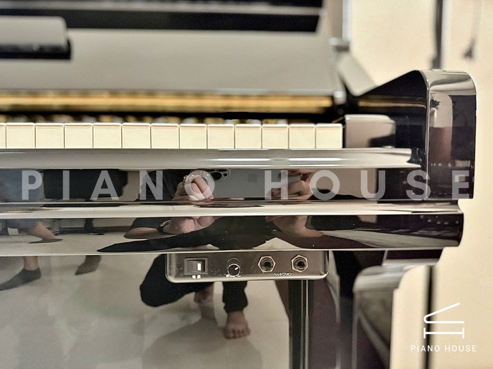 navy ostrich watch bands (4)