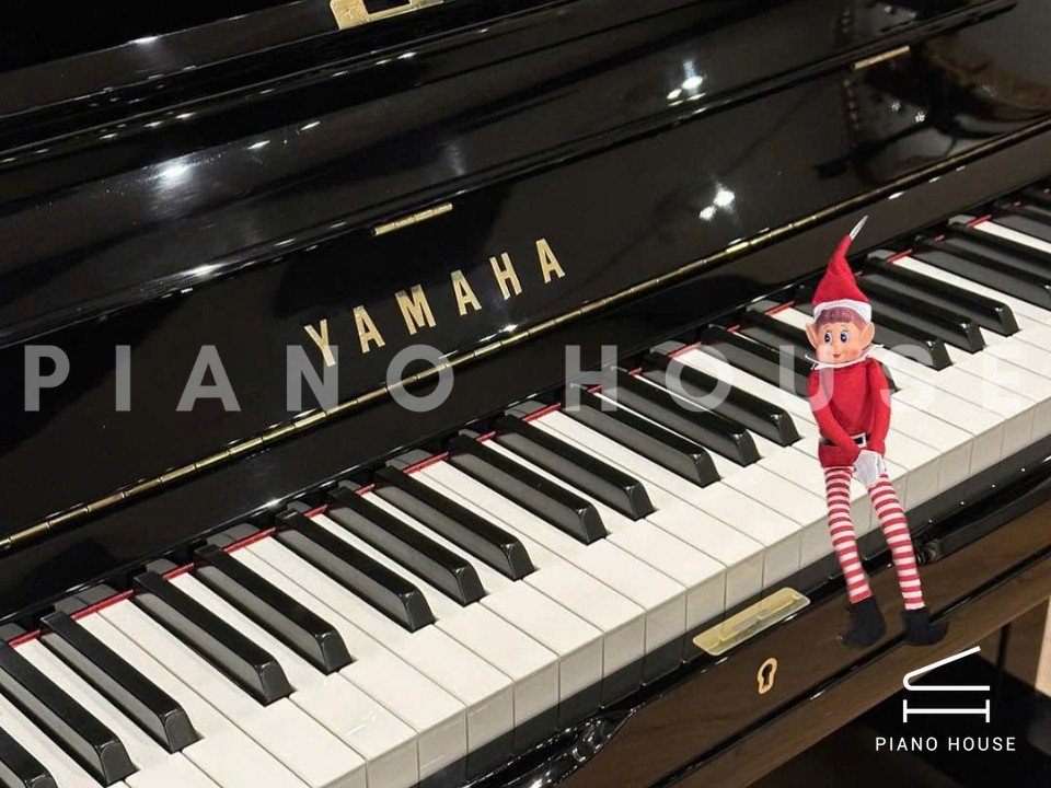 navy ostrich watch bands (4)