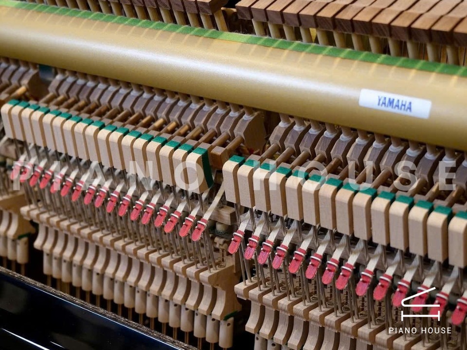 navy ostrich watch bands (4)