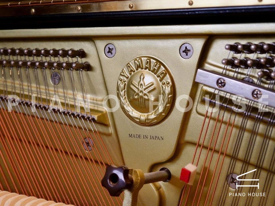 navy ostrich watch bands (4)