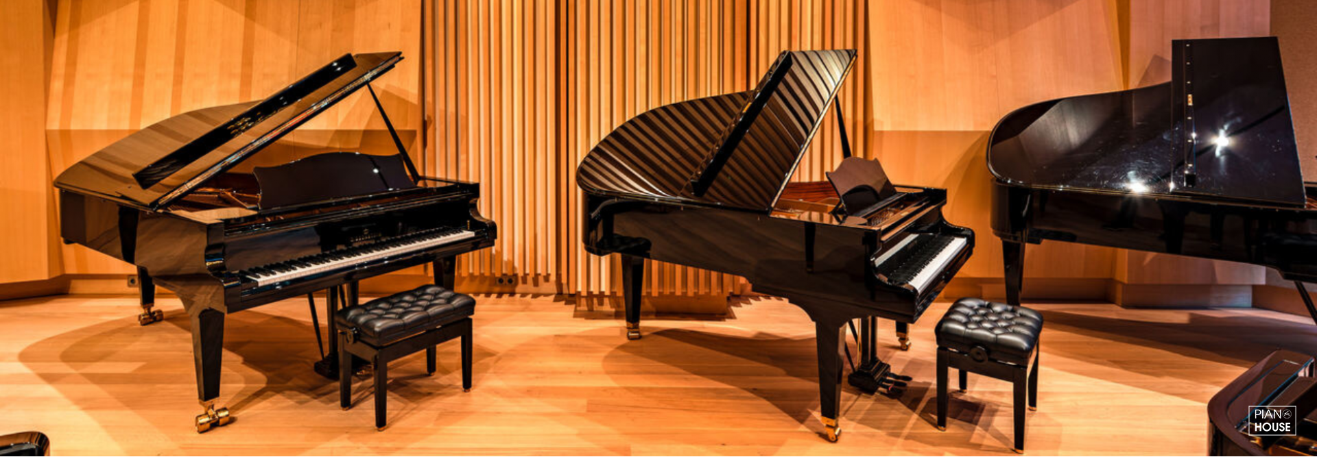 cbechstein 1