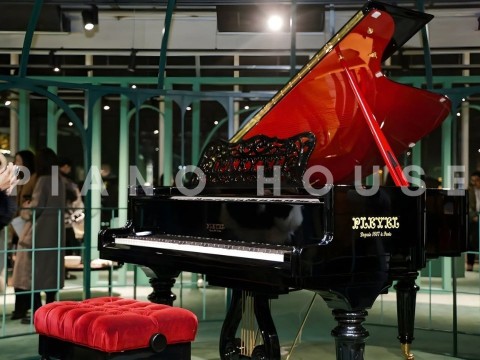 Pleyel - Một Thương Hiệu Huyền Thoại