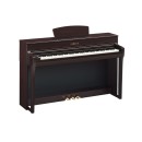 DR - Dark Rosewood 